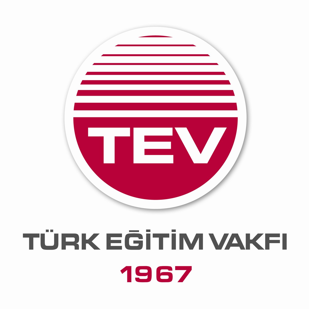 Türk Eğitim Vakfı